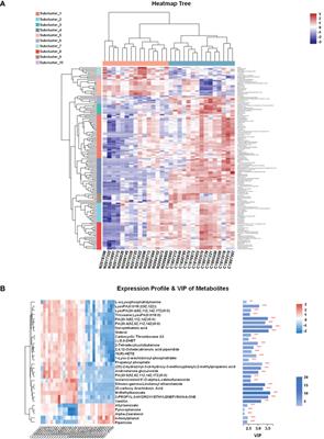 The potential value of LC-MS non-targeted metabonomics in the diagnosis of follicular thyroid carcinoma